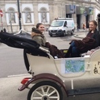 tour guide vienna