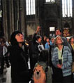 tour guide vienna