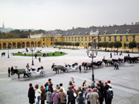 tour guide vienna